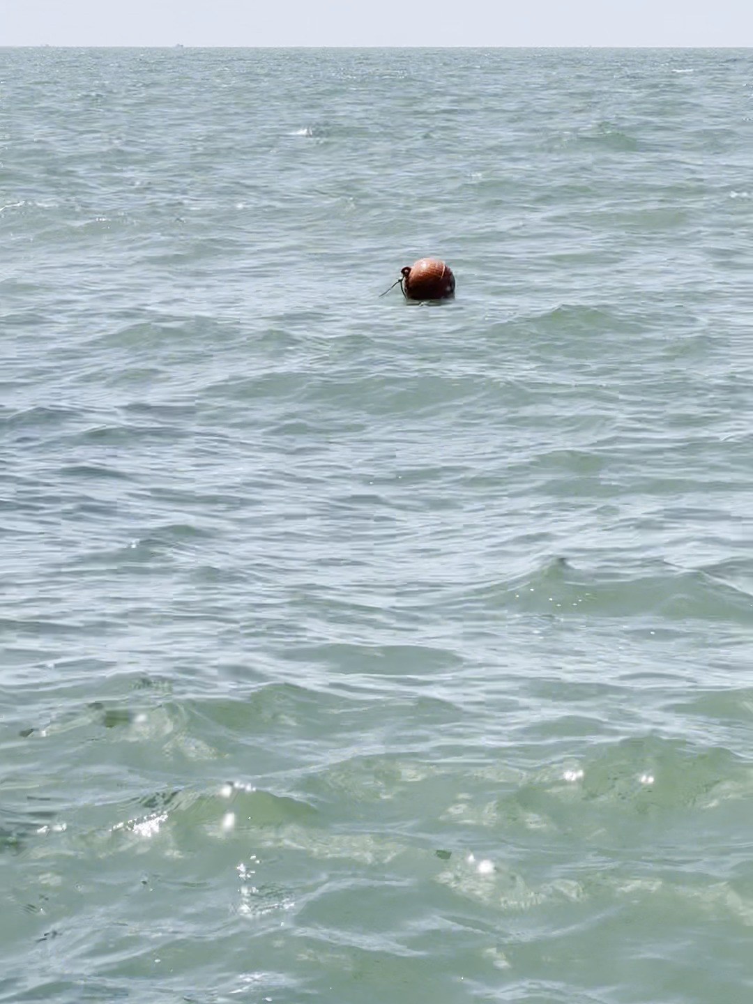Construction marker buoy on open water near a wind farm