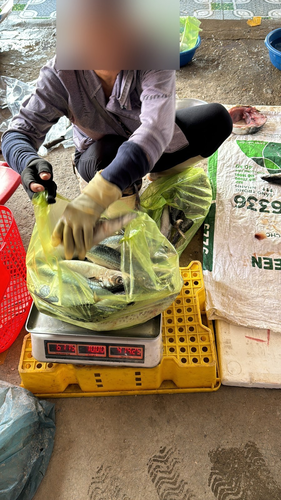 Fresh fish weighed for a ship provision order.