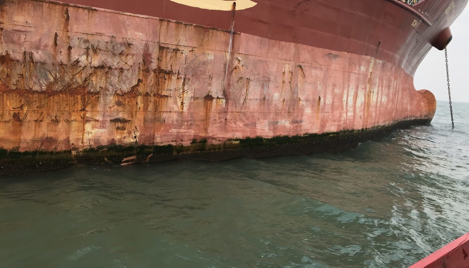 Hull fouling along the waterline before underwater cleaning