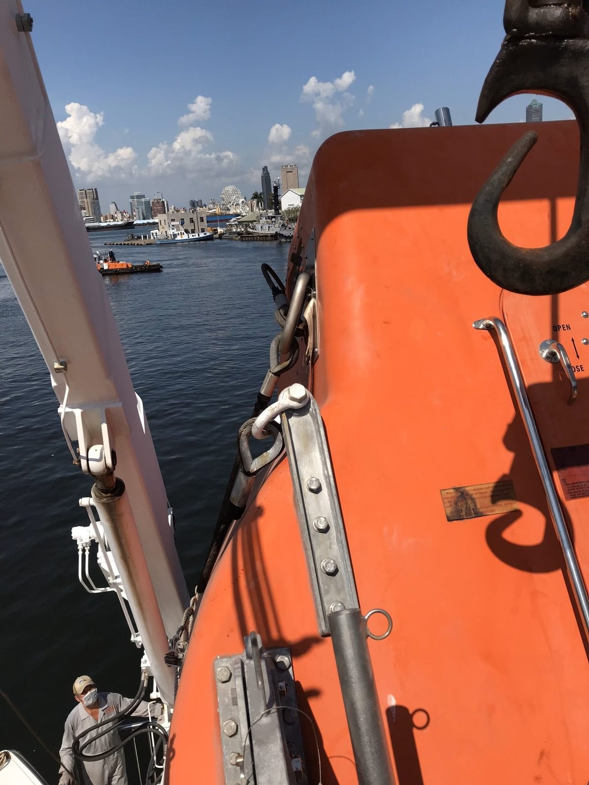Lifeboat hook and davit arm