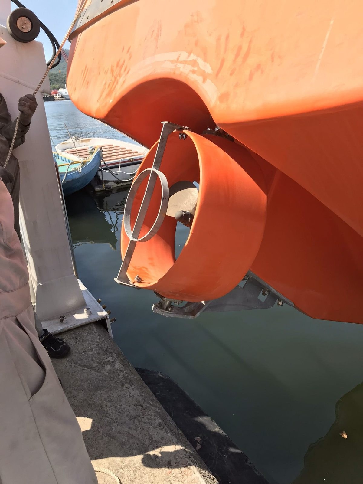 Lifeboat propeller guard check