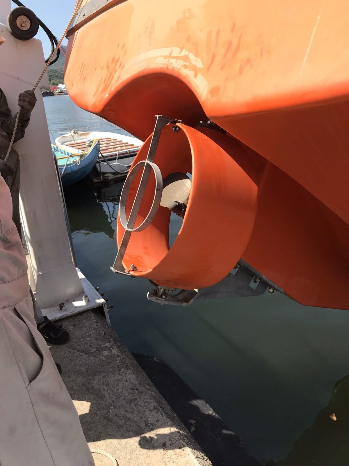 Lifeboat rudder and propeller guard
