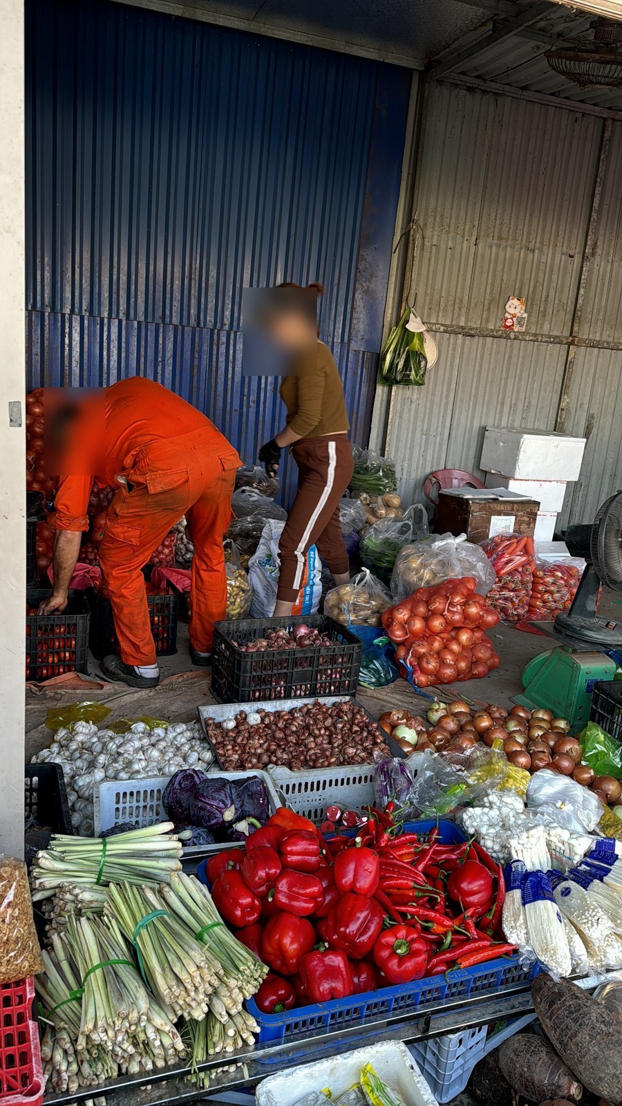Fresh vegetables sorted into crates for a ship provision order.