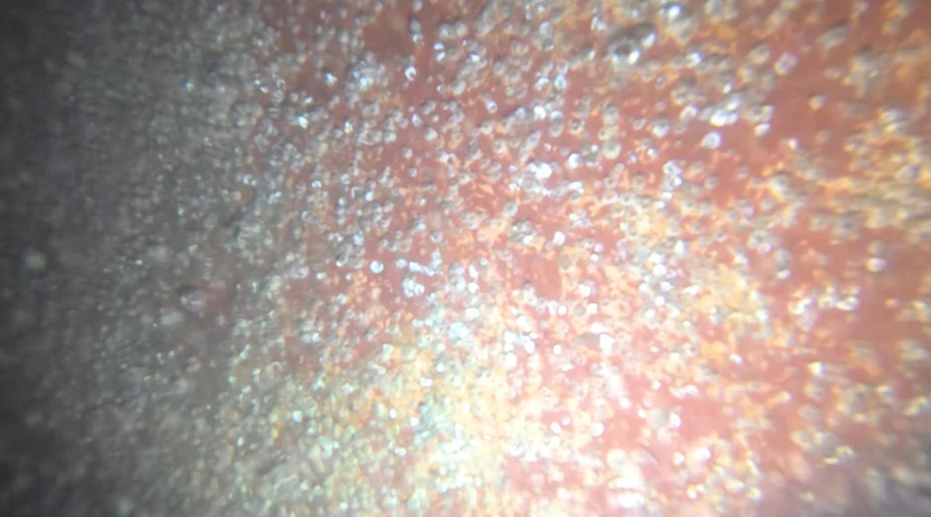 Barnacle growth visible on a red underwater hull surface