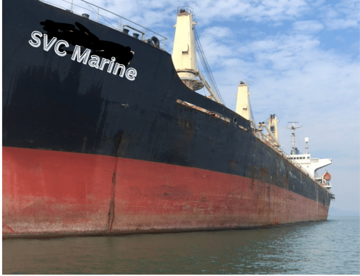 eneral cargo vessel 24,000 DWT built Japan 1996 for sale in Vietnam