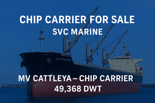 MV CATTLEYA 49,368 DWT Chip Carrier for Sale by SVC Marine, built 2008 Japan