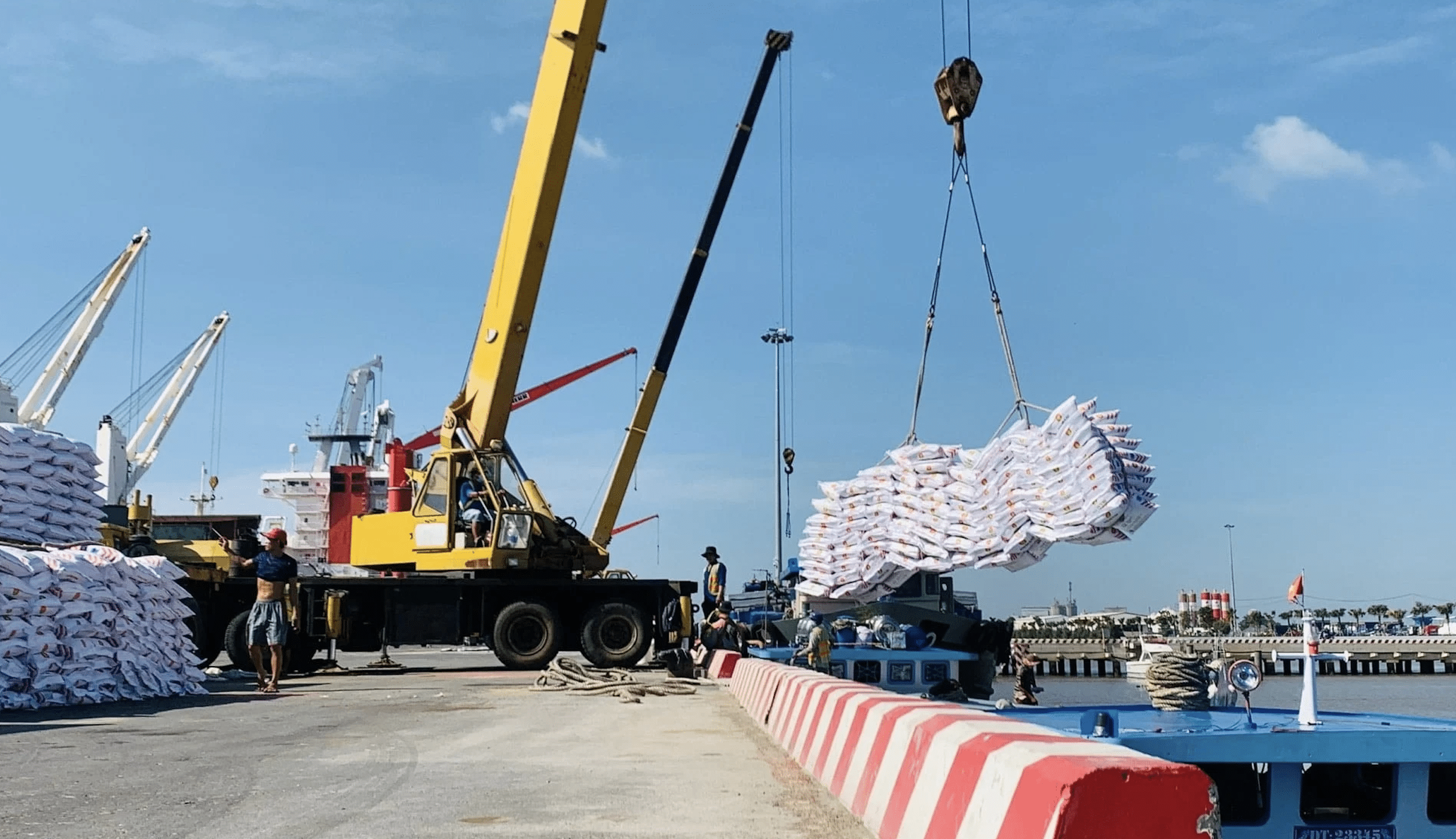 Fertilizer jumbo bags prepared for breakbulk shipping from Vietnam