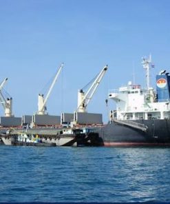 22,662 DWT geared bulk carrier built 2007, with five holds and onboard cargo cranes. Explore S&P opportunities with SVC Marine.